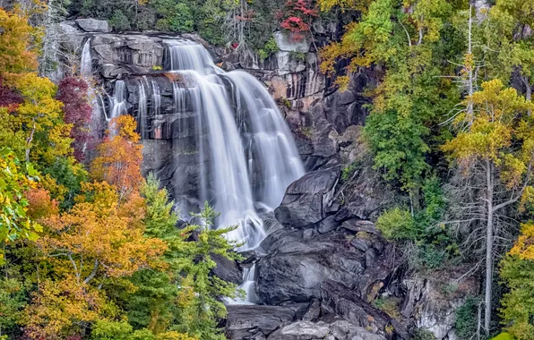 Картинка осень, лес, деревья, горы, скалы, водопад, поток