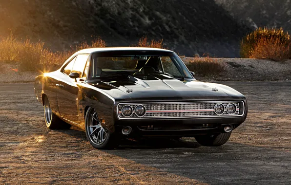 Dodge, Charger, 1970, Dodge Charger, Muscle Car, Додж Чарджер