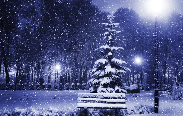 Картинка зима, свет, снег, деревья, скамейка, природа, города, елка