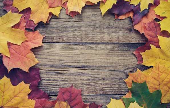 Осень, листья, фон, доски, colorful, клен, wood, autumn