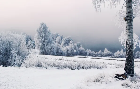 Картинка зима, иней, снег, деревья, железная дорога, Швеция