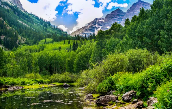 Картинка лес, облака, горы, озеро, камни, США, кусты, Colorado