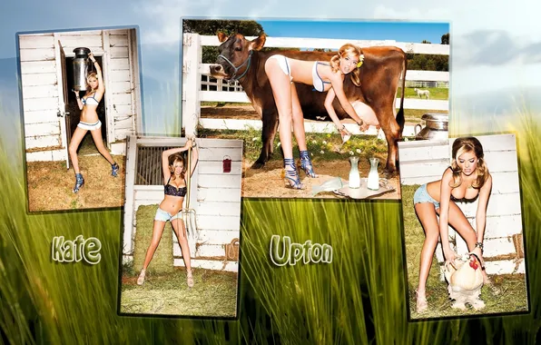 Грудь, трава, девушка, секси, надпись, модель, корова, курица