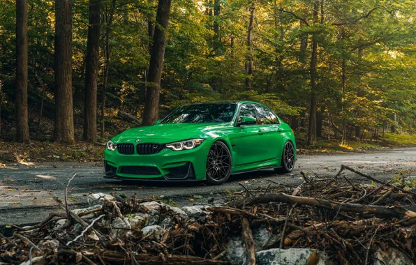 Картинка BMW, Green, Forest, F80, Sight