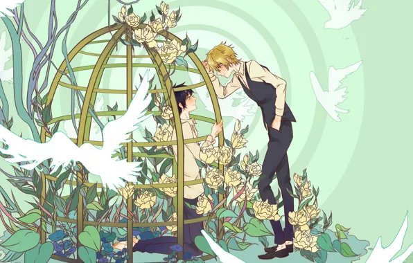 Цветы, клетка, парни, Durarara, Шизуо Хейваджима, Изая Орихара, Durarara!!
