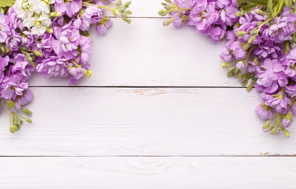 Цветы, wood, flowers, spring, violet