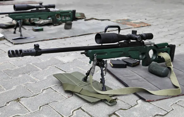 Снайперская винтовка, СВ-98, 7.62мм, SV-98, sniper rifle