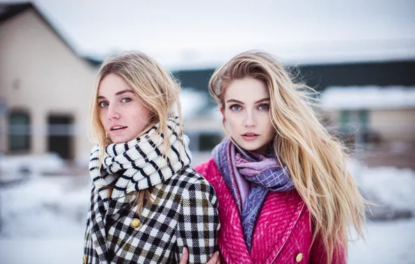 Картинка взгляд, девушка, красотка