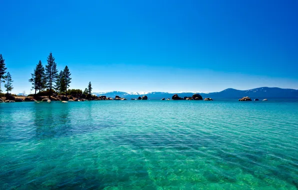 Картинка лес, вода, озеро, California, голубая, lake Tahoe