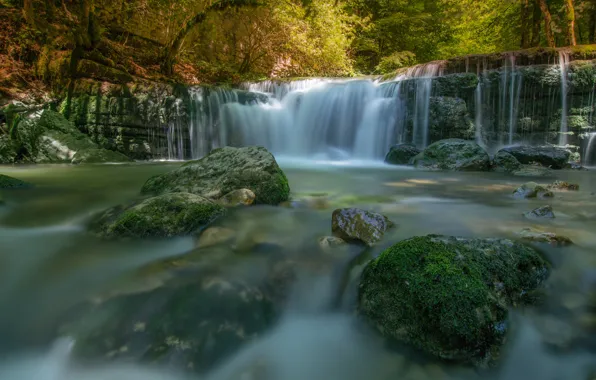 Лес, река, камни, водопад, каскад