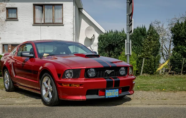 Mustang, Ford, Special, California