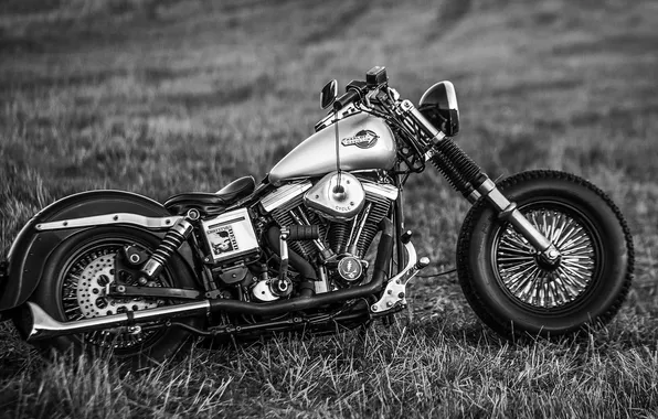 Мотоцикл, байк, harley davidson