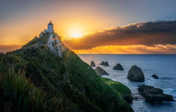Восход, океан, скалы, рассвет, маяк, Новая Зеландия, Pacific Ocean, New Zealand
