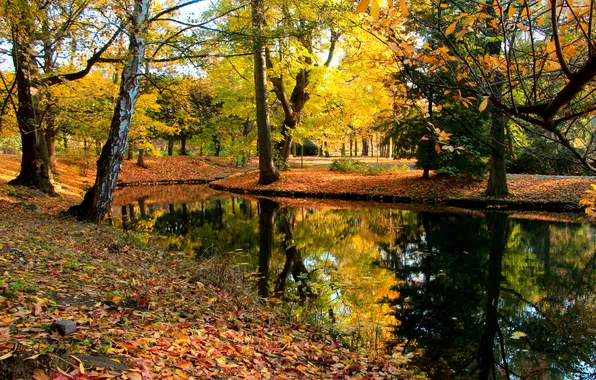 Trees, park, autumn, pond, fall