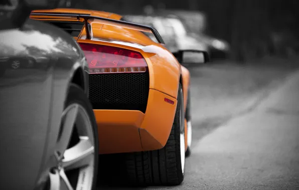 Картинка фото, Auto, cars, Lamborghini murcielago