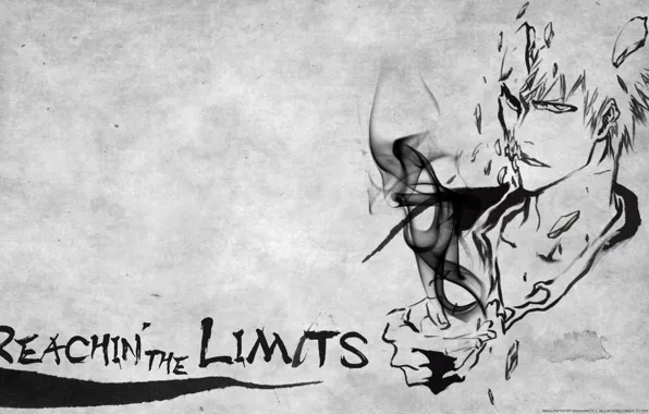 Блич, bleach, Куросаки Ичиго