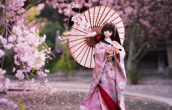 Картинка зонтик, японка, кукла, сакура, кимоно