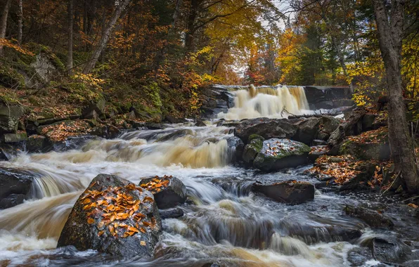 Осень, лес, камни, листва, водопад, поток