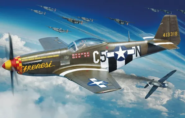 Истребитель, USA, USAF, P-51D, P-51 Mustang, Боевой самолет