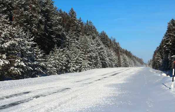 Картинка зима, дорога, лес