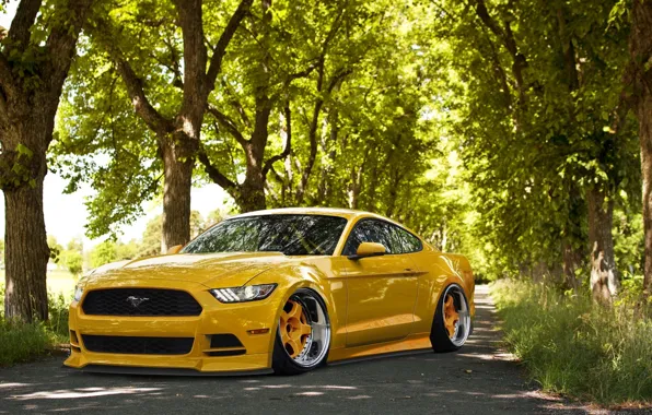 Картинка Mustang, Ford, Front, Yellow, Tuning, Stance, Wheels, 2015