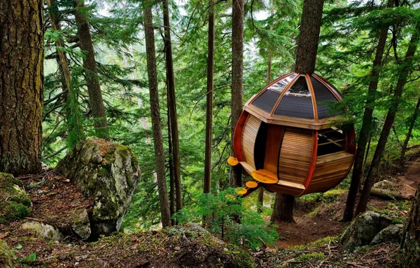 Картинка лес, деревья, природа, дома