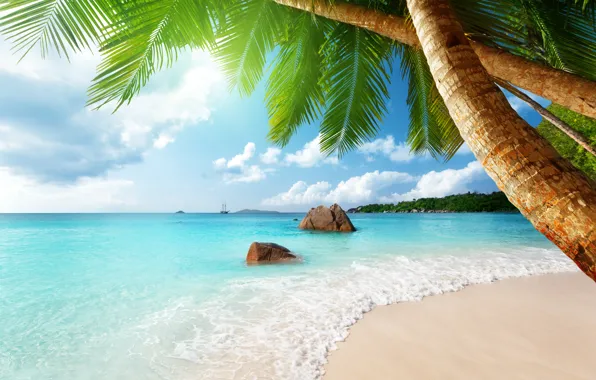 Картинка песок, море, пляж, солнце, тропики, пальмы, океан, берег