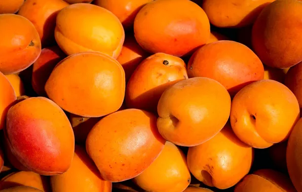 Свет, урожай, фрукты, много, абрикосы