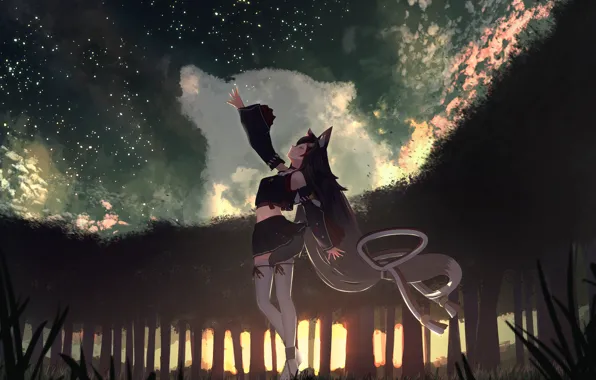 Небо, девушка, ночь, волк, Mio Ookami, виртуальный ютубер Hololive, Holo no Graffiti