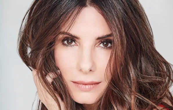 Взгляд, поза, портрет, макияж, актриса, hair, Sandra Bullock, Сандра Буллок