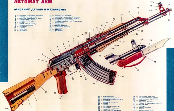 Картинка weapon, russian, kalasnikof, cutaway, assault, Kakasnikov, kalhasnikov, fusil