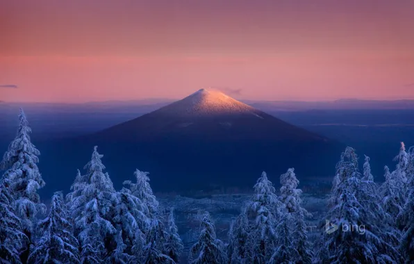 Зима, лес, небо, снег, гора, Орегон, США