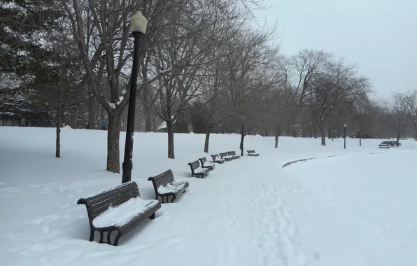 Картинка зима, снег, деревья, следы, мороз, фонари, Парк, скамейки