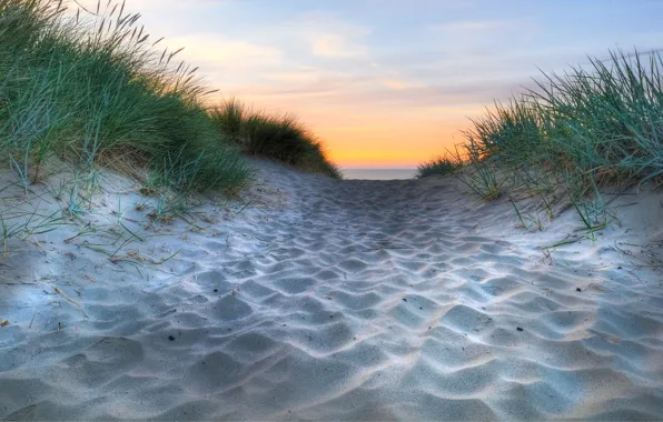 Картинка песок, море, трава, вода, макро, природа, океан, побережье