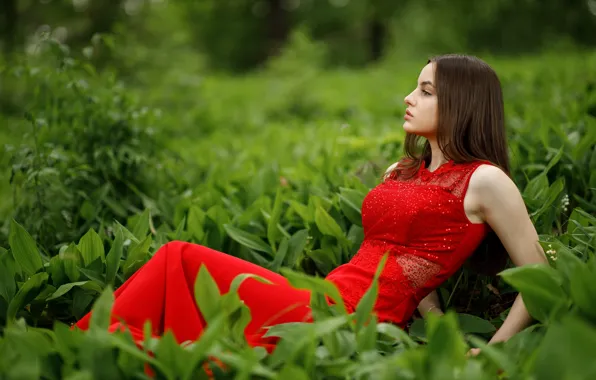 Картинка девушка, поза, красное платье, Сергей Сергеев
