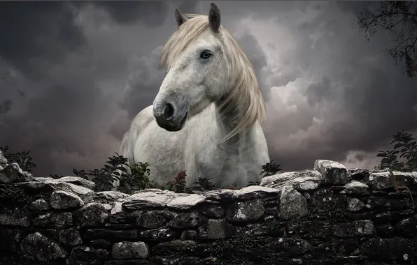 Картинка белый, конь, забор, каменный