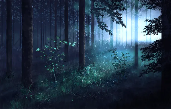 Картинка лес, деревья, утро