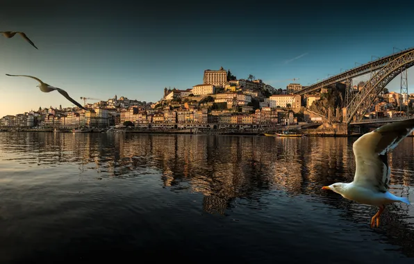 Картинка пейзаж, птицы, мост, лодка, дома, панорама, Португалия, Порто
