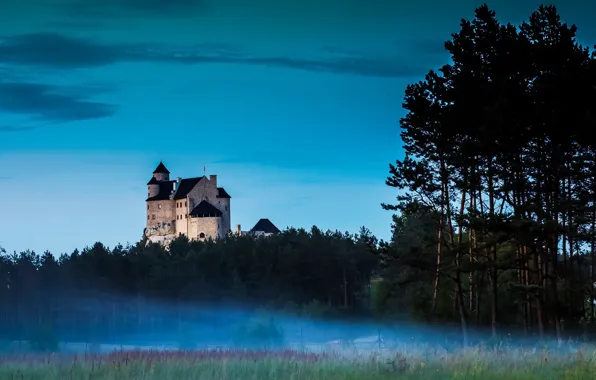 Poland, Lodz, Drzewica, Bobolice Castle