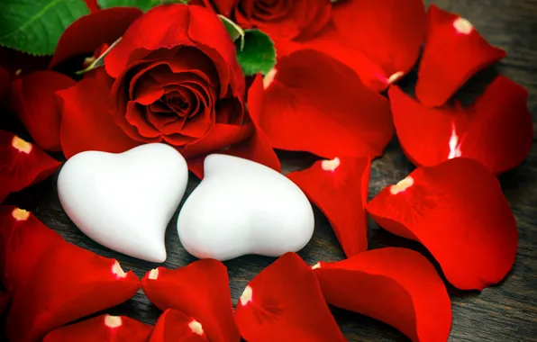 Розы, лепестки, сердечки, бутоны, День Святого Валентина