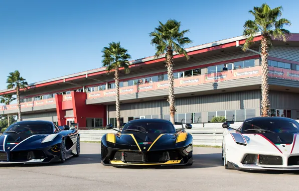 Ferrari, Blue, Black, White, Italia, LaFerrari, FXXK