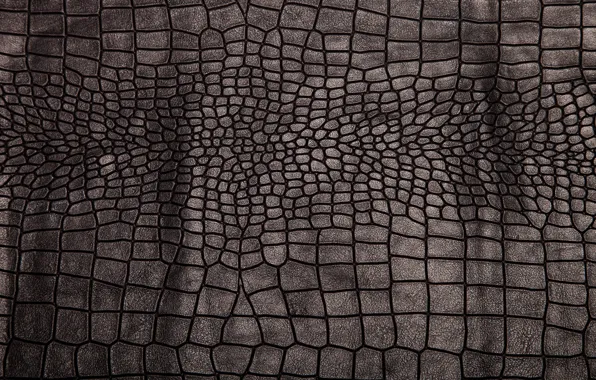 Кожа, black, texture, background, leather, crocodile skin