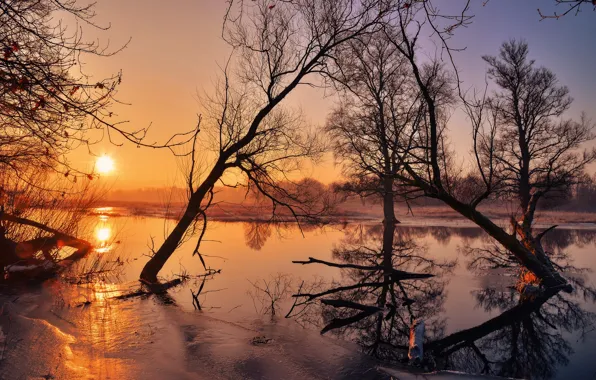 Картинка солнце, деревья, река, лёд