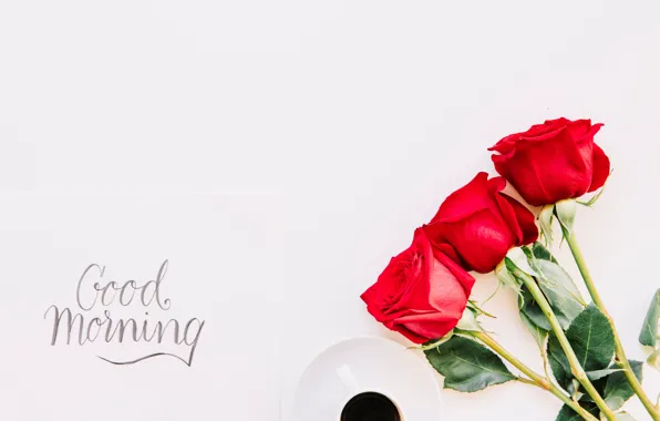 Розы, букет, красные, red, cup, romantic, coffee, good morning