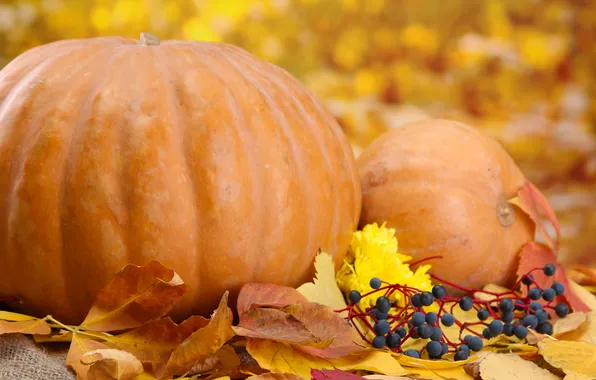 Осень, ягоды, листва, тыква, autumn, leaves, pumpkin