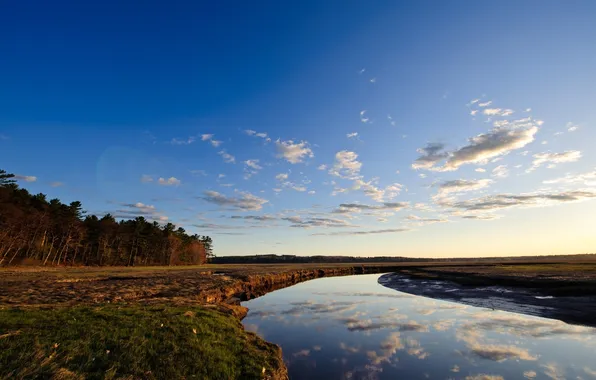 Картинка поле, лес, небо, трава, вода, облака, деревья, пейзаж