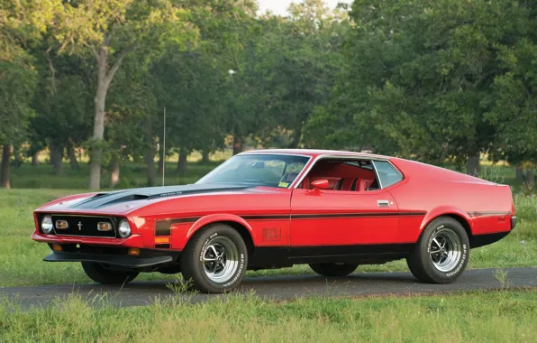 Деревья, красный, Mustang, Ford, Форд, 1971, Мустанг, передок