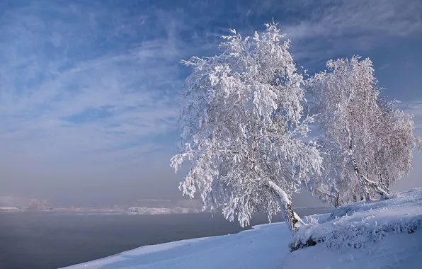 Зима, иней, снег, пейзаж, природа, озеро