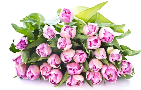 Картинка листья, цветы, красота, букет, лепестки, тюльпаны, розовые, pink