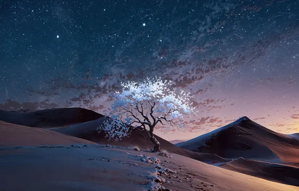 Twilight, bloom, dunes